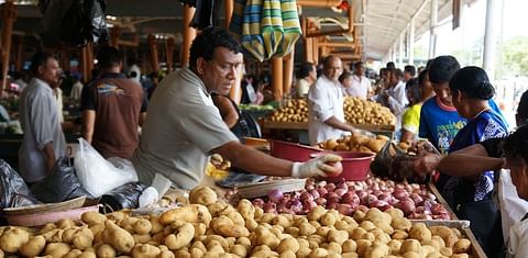 Potato Prices unlikely to Drop to ₹8-10 a kg this Year: Experts