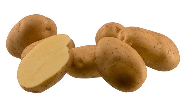 Markies potato variety