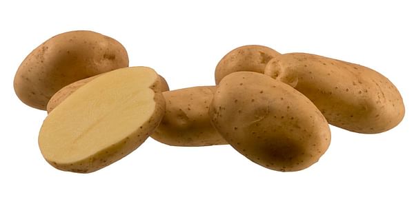 Markies potato variety