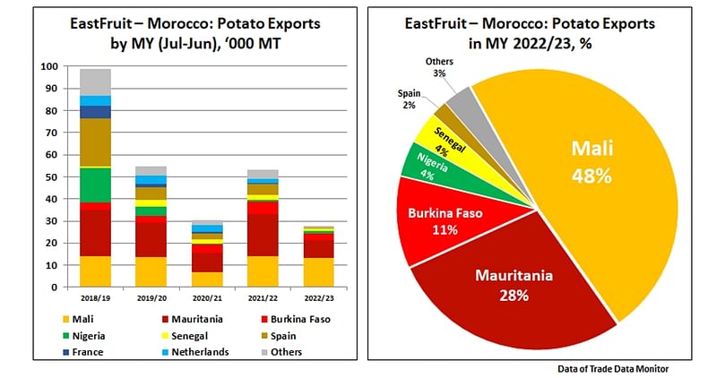 Moroccan potato exports