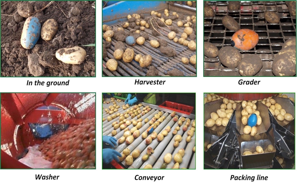 Suited to testing all potato handling situations