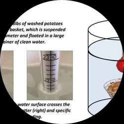Zeal Manual Hydrometer
