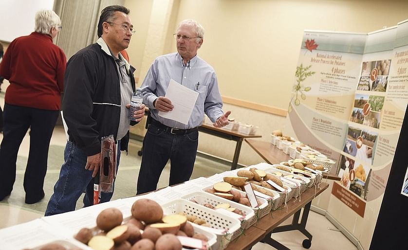 Terry Morishita, left, and Ludwig Reicheneder chat while browsing through the 15 new potato varieties that are being released by Agriculture and Agri-Food Canada this year during a potato release open house event at the Lethbridge Research and Development