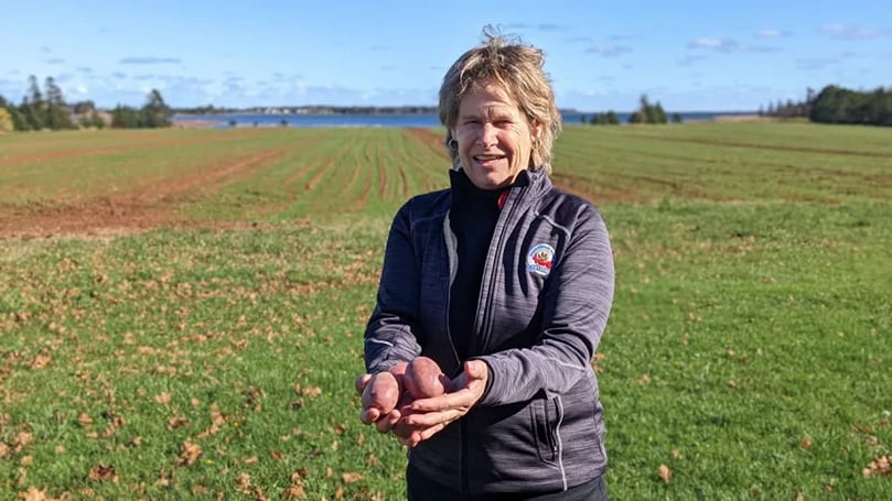 Sonier said the potato board has operated the Fox Island Elite Seed Potato Farm since 1962, and grows both public and private varieties.