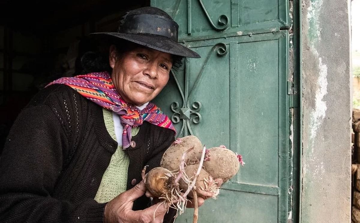 Maryluz Contreras from Colpar, Huancayo, shares her potato expertise as project staff and local farmers test and select the most promising varieties near her home.