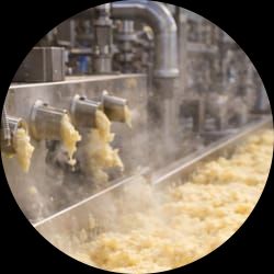Instant Mashed Potato Processing Plant – Engineering & EPCM Services