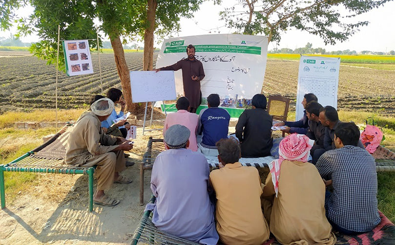 A master trainer explains the importance of appropriate seed selection for a good yield of potato crop (Courtesy: CABI). A master trainer explains the importance of appropriate seed selection for a good yield of potato crop (Courtesy: CABI).
