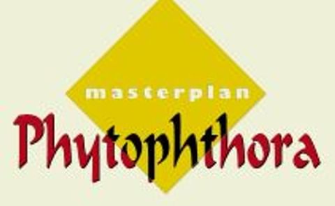 Eerste Phytophthora-waarschuwing van dit seizoen Eerste Phytophthora-waarschuwing van dit seizoen