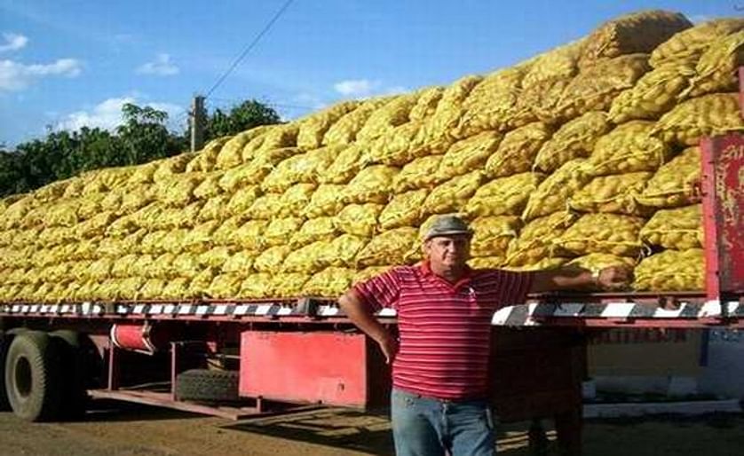 Cuban Province Matanzas Expects to Double Potato Yields this Harvest