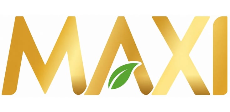PT Maxindo Karya Anugerah