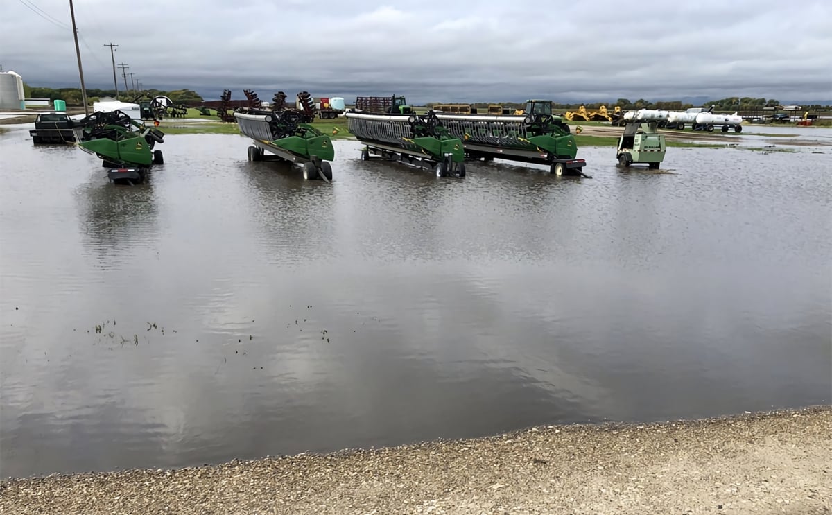 Rains keep Manitoba potato growers on edge Rains keep Manitoba potato growers on edge