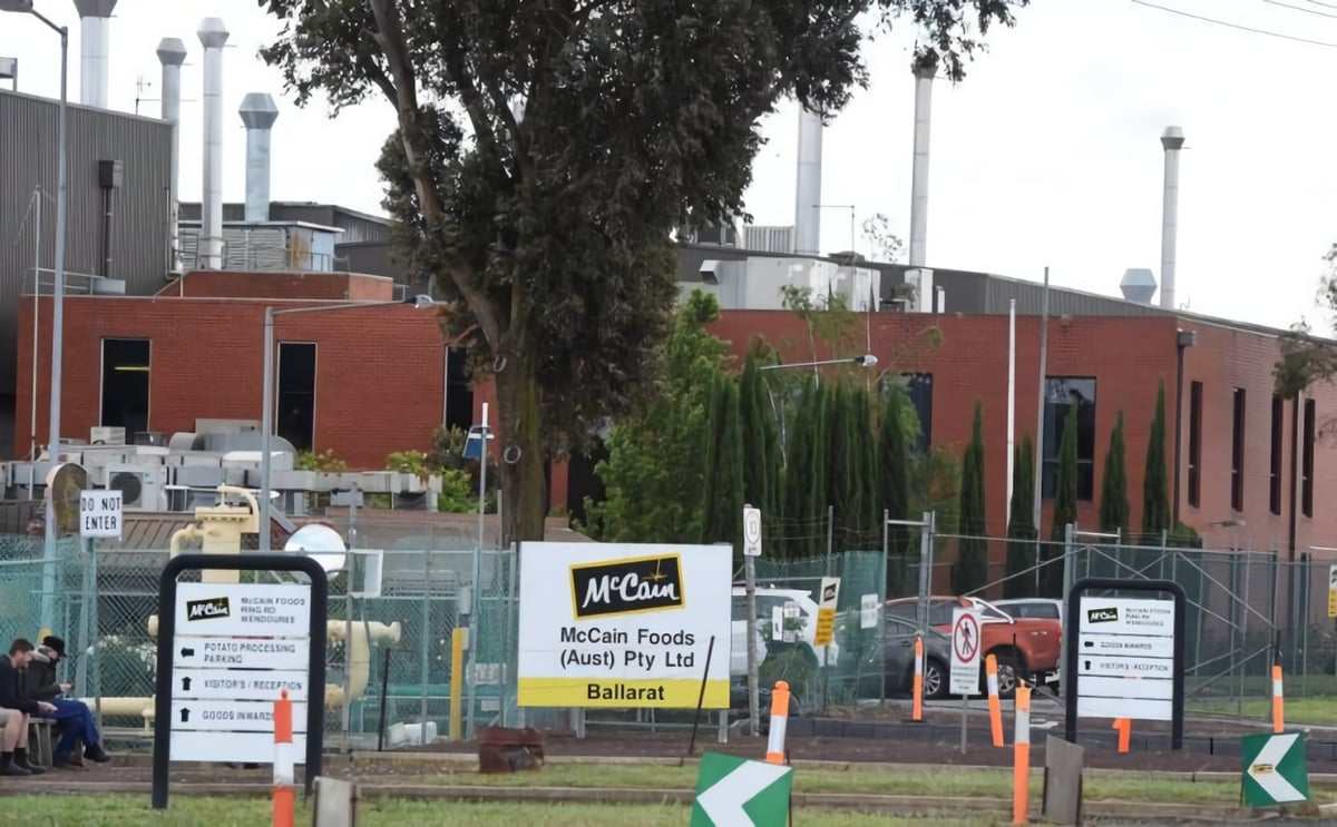 Upgrade of the McCain Foods Ballarat factory will result in less jobs Upgrade of the McCain Foods Ballarat factory will result in less jobs