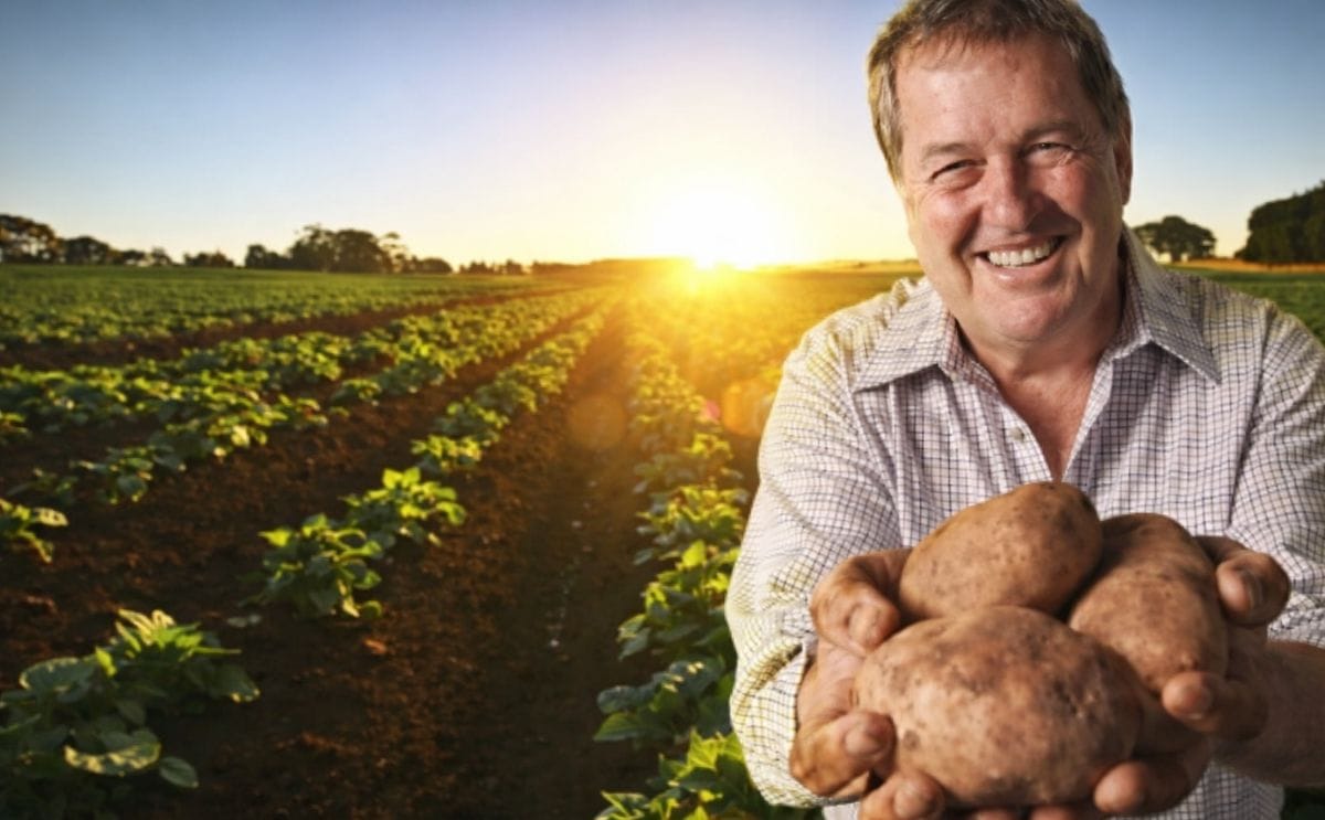 McCain Foods Australia, potato growers fixing strained relationship McCain Foods Australia, potato growers fixing strained relationship