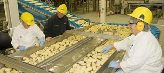 Potato Sorting in McCain Foods Florenceville new plant (CNW) 