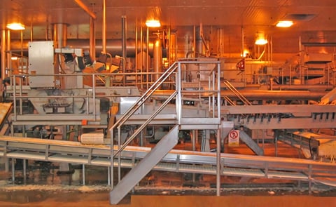 View on the French Fry processing line in the McCain Foods New Zealand -Timaru production plant (Courtesy: Andar Manufacturing Engineers) View on the French Fry processing line in the McCain Foods New Zealand -Timaru production plant (Courtesy: Andar Manufacturing Engineers)