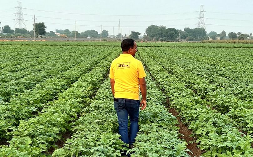 Over the years, McCain food has been successfully driving new models of sustainable farming across the globe while reducing environmental footprints.
