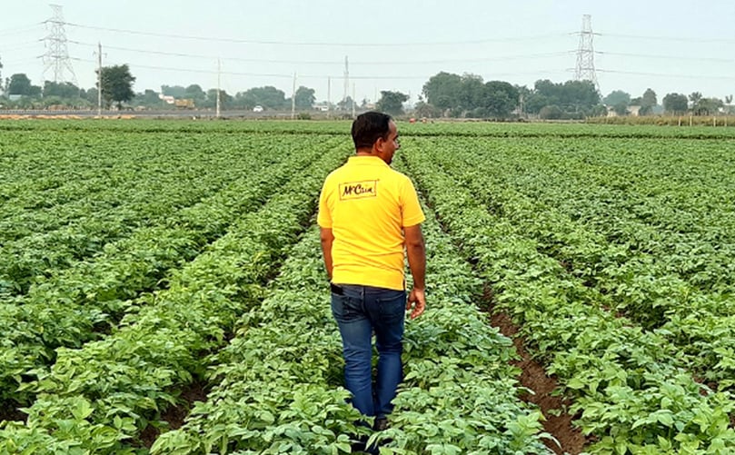 Over the years, McCain food has been successfully driving new models of sustainable farming across the globe while reducing environmental footprints. Over the years, McCain food has been successfully driving new models of sustainable farming across the globe while reducing environmental footprints.