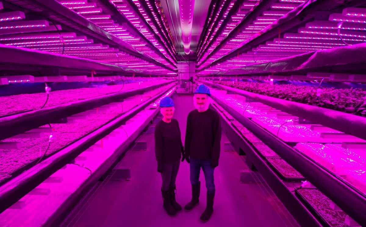 McCain Foods Limited makes strategic investment in Vertical Farming McCain Foods Limited makes strategic investment in Vertical Farming