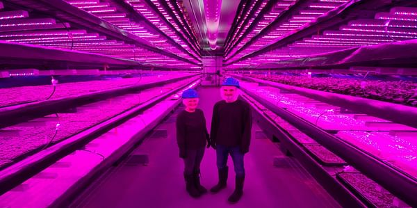 McCain Foods Limited makes strategic investment in Vertical Farming