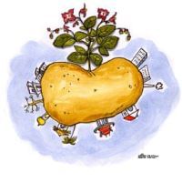 Verantwoord Ondernemen: McCain Foods haalt weer twee doelstellingen