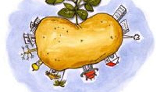  MNcCain aardappel wereld