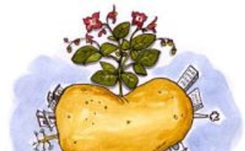 Verantwoord Ondernemen: McCain Foods haalt weer twee doelstellingen Verantwoord Ondernemen: McCain Foods haalt weer twee doelstellingen