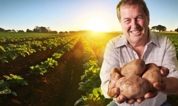 McCain Foods Australia, potato growers fixing strained relationship
