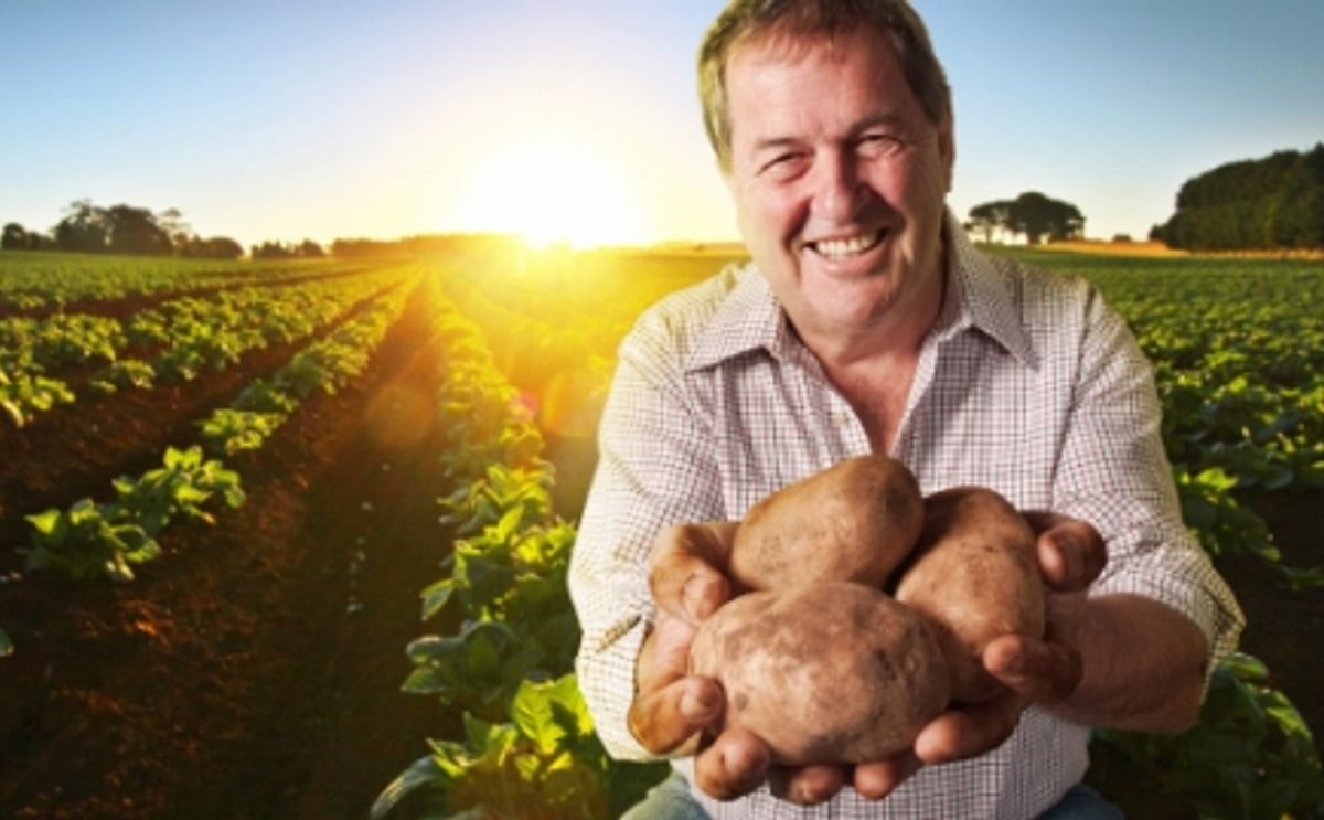 McCain Foods Australia, potato growers fixing 'strained relationship'