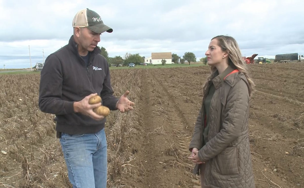 McCrum: The success and legacy behind the thriving potato processing operation McCrum: The success and legacy behind the thriving potato processing operation