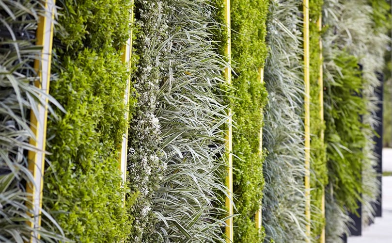 Green, plant-covered walls absorb CO2, promoting biodiversity and retaining water. Green, plant-covered walls absorb CO2, promoting biodiversity and retaining water.