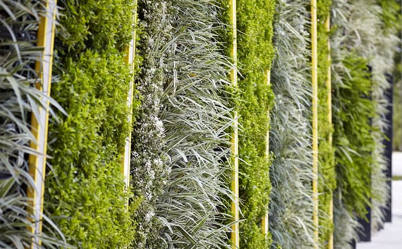 Green, plant-covered walls absorb CO2, promoting biodiversity and retaining water.