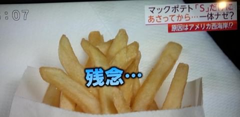McDonalds Japan to only sell small fries