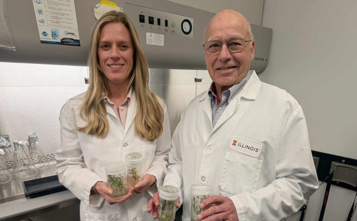 Katherine Meacham-Hensold led work looking to improve the photorespiratory bypass of potato as a postdoctoral researcher in Don Ort’s lab at the University of Illinois Urbana-Champaign. Katherine Meacham-Hensold led work looking to improve the photorespiratory bypass of potato as a postdoctoral researcher in Don Ort’s lab at the University of Illinois Urbana-Champaign.