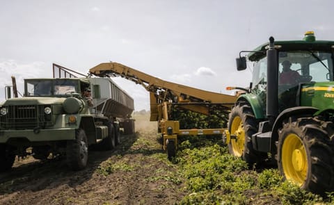 La mecanización del cultivo de patata refleja los cambios estructurales que atraviesa el sector europeo ante la caída del consumo de patata fresca. La mecanización del cultivo de patata refleja los cambios estructurales que atraviesa el sector europeo ante la caída del consumo de patata fresca.