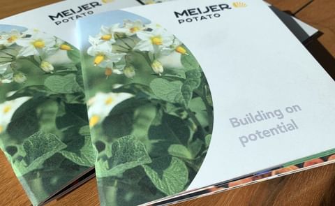 Meijer Potato's new corporate identity will be visible on all communication materials and locations.
Meijer Potato's new corporate identity will be visible on all communication materials and locations.