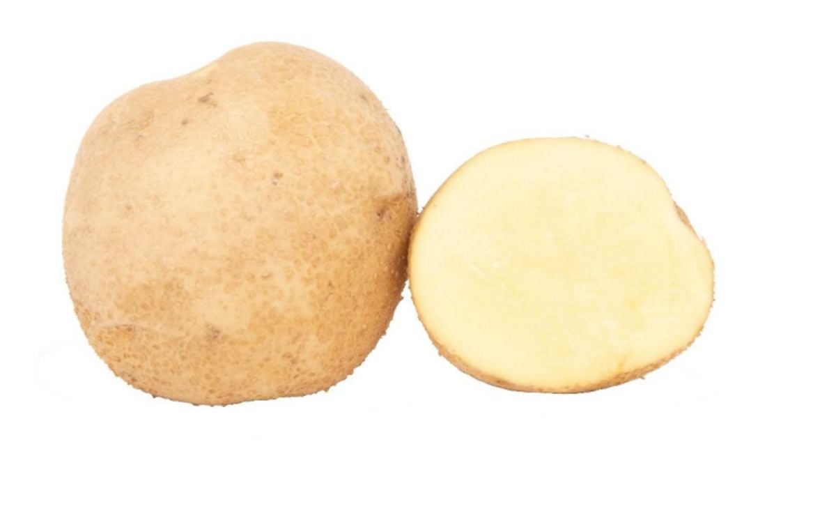  MEICHIP