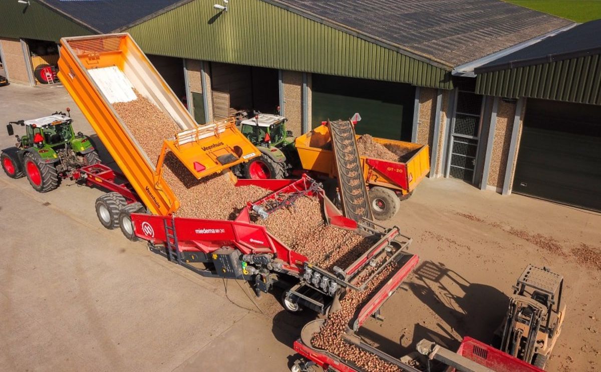 Miedema MC 80 cm wide conveyor belts