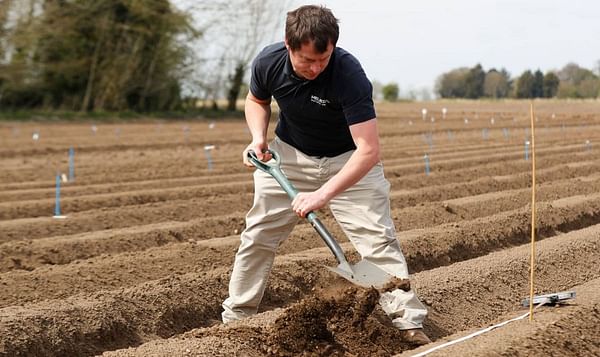 Meijer Potato installs Soil Scout sensors to monitor soil moisture, temperature and salinity