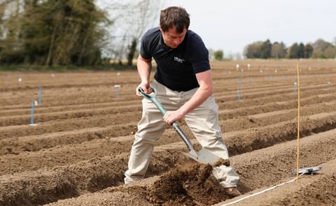 Max Tarneberg, International Product Manager for Meijer Potato Max Tarneberg, International Product Manager for Meijer Potato