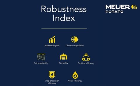 The right potato variety with the robustness index The right potato variety with the robustness index