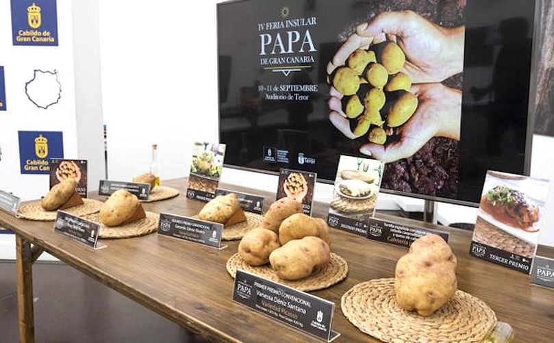 Las papas más pesadas de 2021, de la variedad Picasso, se recogieron en Los Arbejales de Teror. Las papas más pesadas de 2021, de la variedad Picasso, se recogieron en Los Arbejales de Teror.
