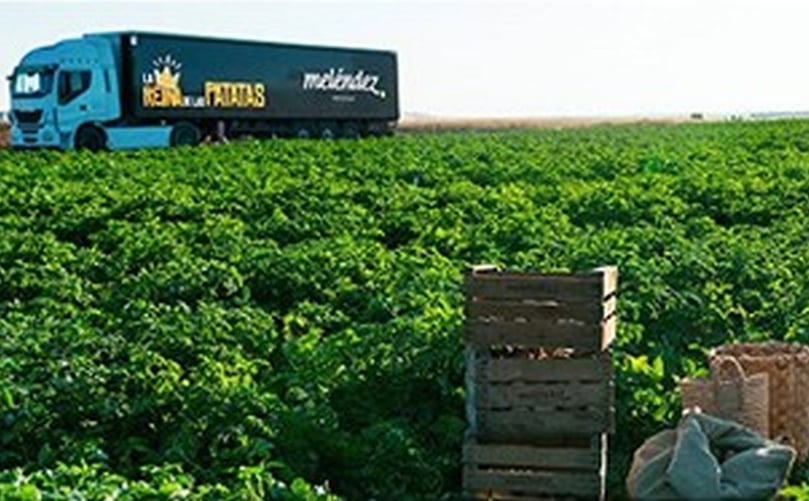 La campaña española de la patata se traslada así a Castilla y León después de haberse desarrollado en los meses previos en regiones más meridionales del país, de las cuales Patatas Meléndez se abastece para mantener su amplia oferta de producto nacional. La campaña española de la patata se traslada así a Castilla y León después de haberse desarrollado en los meses previos en regiones más meridionales del país, de las cuales Patatas Meléndez se abastece para mantener su amplia oferta de producto nacional.