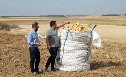 Patatas Meléndez arranca una nueva campaña de recogida de patata marcada por la lluvia y el agua.
Patatas Meléndez arranca una nueva campaña de recogida de patata marcada por la lluvia y el agua.