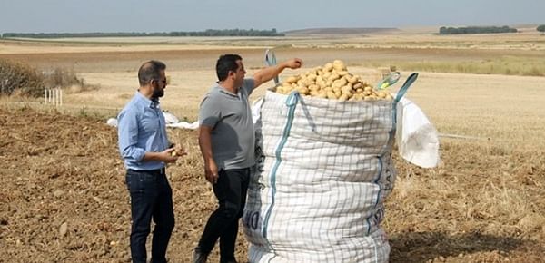 Patatas Meléndez arranca una nueva campaña de recogida de patata