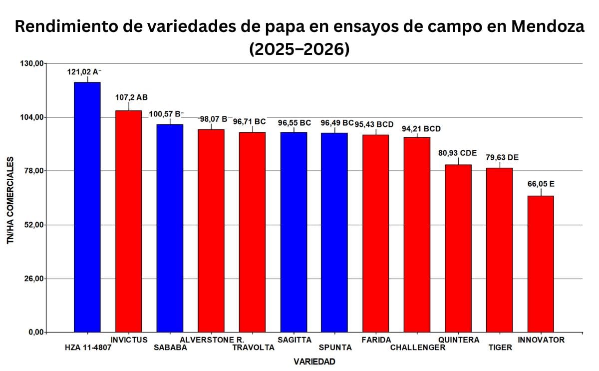 Yield performance of potato varieties in Mendoza field trials (2025–2026)