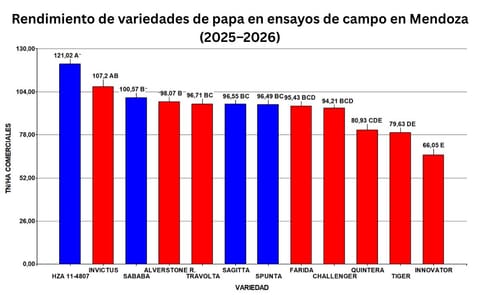 Yield performance of potato varieties in Mendoza field trials (2025–2026) Yield performance of potato varieties in Mendoza field trials (2025–2026)