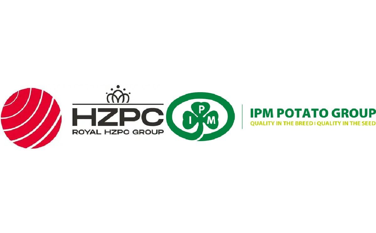 Royal HZPC Group to Acquire Ireland’s IPM Potato Group, Expanding Global Seed Potato Reach