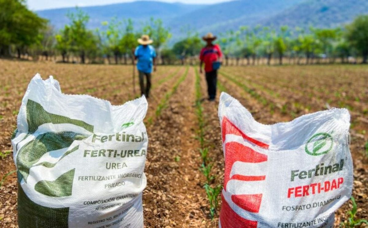 El sector agropecuario de México enfrenta un aumento en los costos de fertilizantes y agroquímicos, mientras que el cultivo de papa mantiene mejores perspectivas de rentabilidad frente a otros cultivos.