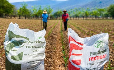 El sector agropecuario de México enfrenta un aumento en los costos de fertilizantes y agroquímicos, mientras que el cultivo de papa mantiene mejores perspectivas de rentabilidad frente a otros cultivos. El sector agropecuario de México enfrenta un aumento en los costos de fertilizantes y agroquímicos, mientras que el cultivo de papa mantiene mejores perspectivas de rentabilidad frente a otros cultivos.