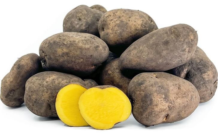 INCA-NO-MEZAME INCA-NO-MEZAME